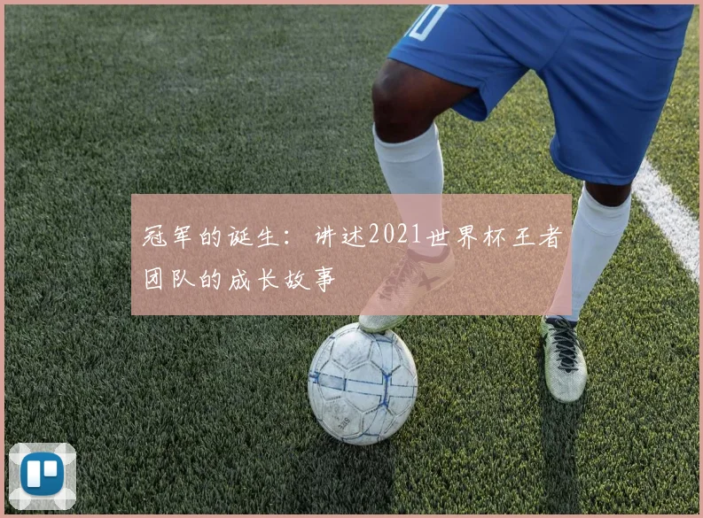 冠军的诞生：讲述2021世界杯王者团队的成长故事