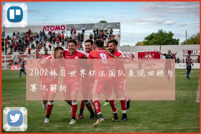 2002韩日世界杯法国队表现回顾与赛况解析