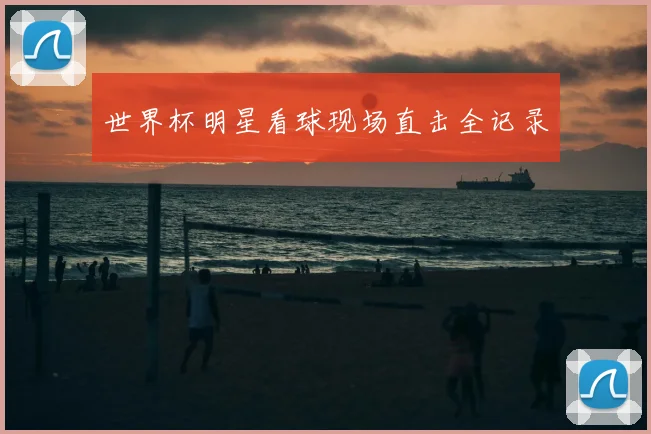 世界杯明星看球现场直击全记录