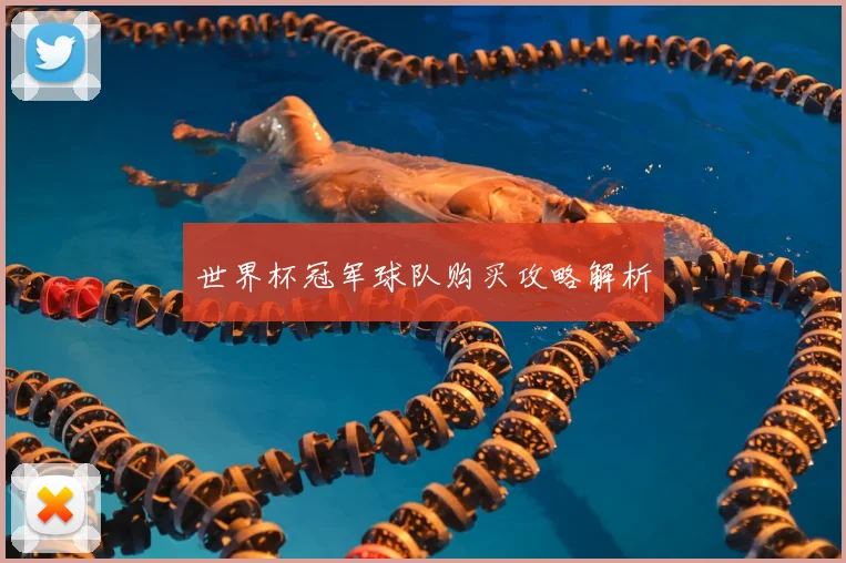 世界杯冠军球队购买攻略解析